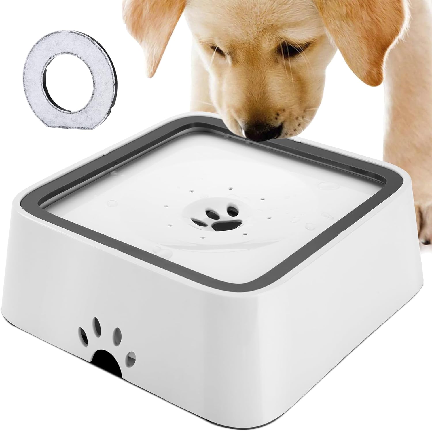 HAPPY HACHI 70oz 2L Dog Water Bowl Slow Drink Non Spill Water Bowl w Pet Tom