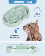 Load image into Gallery viewer, Slow Feeder Cat Bowl, Upgrade-Raised Rim Spill Proof Slow Eating Cat Bowl for Wet Food/Dry Food, Fish Pool Design Cat Puzzle Feeder, Anti Vomiting Anti-Gulping Healthy Eating Diet Pet Bowls
