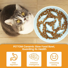 Load image into Gallery viewer, Slow Feeder Cat Bowl with Stand, Ceramic Slow Eating Cat Bowl with Higher Edges Fish Pool Design Elevated Cat Food Bowl for Dry and Wet Food Anti-Vomiting Cat Puzzle Feeder for Healthy Eating Diet
