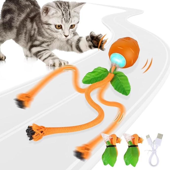 Interactive Cat Toy, USB Rechargeable Kitten Toys, 3 Working Modes Irregular Motion Trajectory Cat Toys for Indoor Cats Self Play, Stimulates Cat's Senses Funny