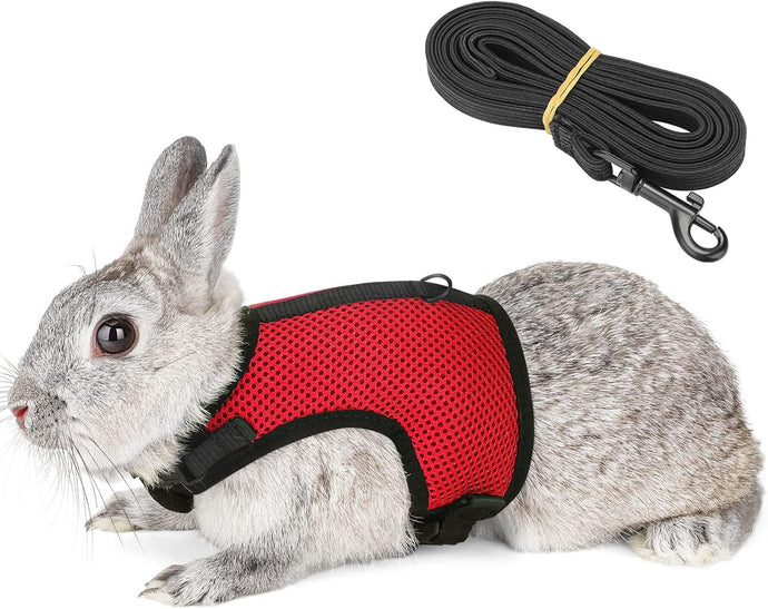 Pettom Bunny Rabbit Harness with Stretchy Leash Cute Adjustable Buckle Breathable Mesh Vest for Kitten Small Pets Walking (L(Chest:10.6-13.3 in), Red)