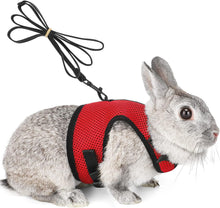 Load image into Gallery viewer, Pettom Bunny Rabbit Harness with Stretchy Leash Cute Adjustable Buckle Breathable Mesh Vest for Kitten Small Pets Walking (L(Chest:10.6-13.3 in), Red)
