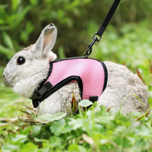 Load image into Gallery viewer, Pettom Bunny Rabbit Harness with Stretchy Leash Cute Adjustable Buckle Breathable Mesh Vest for Kitten Small Pets Walking (L(Chest:10.6-13.3 in), Red)
