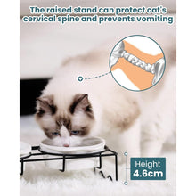 Carica l&#39;immagine nel visualizzatore di Gallery, PETTOM Ceramic Raised Cat Bowls - Elevated Double Set, 350ml Each, Anti-Vomiting Design
