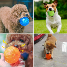 Charger l&#39;image dans la galerie, PETTOM Squeaky Dog Ball Toys - 3-Pack, Waterproof, Floating, Bouncy Rubber for Small Dogs
