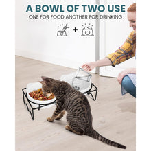 Carica l&#39;immagine nel visualizzatore di Gallery, PETTOM Ceramic Raised Cat Bowls - Elevated Double Set, 350ml Each, Anti-Vomiting Design
