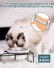 Load image into Gallery viewer, PETTOM Ceramic Raised Cat Bowl, Cat Food Water Bowls with Stand Double Cat Bowls Elevated Anti Vomiting Cute Set of 2 Cat Kitten Food Bowls, 350ml x 2
