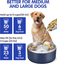 Load image into Gallery viewer, PETTOM Slow Feeder Dog Bowl, 18/8 Stainless Steel Dog Bowl Slows Down Food, Non-Slip Rubber Bottom Pet Food Water Bowl
