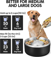 Load image into Gallery viewer, PETTOM Slow Feeder Dog Bowl, 18/8 Stainless Steel Dog Bowl Slows Down Food, Non-Slip Rubber Bottom Pet Food Water Bowl
