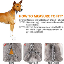 Load image into Gallery viewer, Pettom Martingale Training Chain Dog Collar Metal Slip Pet Choker Collars Chrome Plated Durable Rust Proof for Small Medium and Large Dogs
