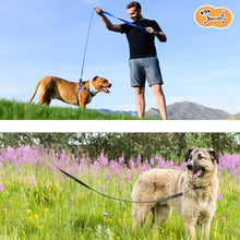 Load image into Gallery viewer, Pettom Dog Training Leash Long Line Puppy Obedience Recall Lead for Dogs Agility Lead Black 30ft 50ft 65ft 10ft 15ft Great for Play Camping Beach Backyard

