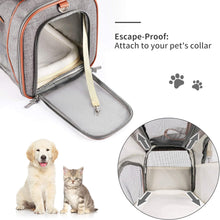 Lade das Bild in den Galerie-Viewer, PETTOM Pet Carrier,Cat Carrier Airline Approved Dog Carrier with Luxury Fleece Bedding, Portable Soft Sided travel carrier for Small Medium Cats&amp;Dogs.
